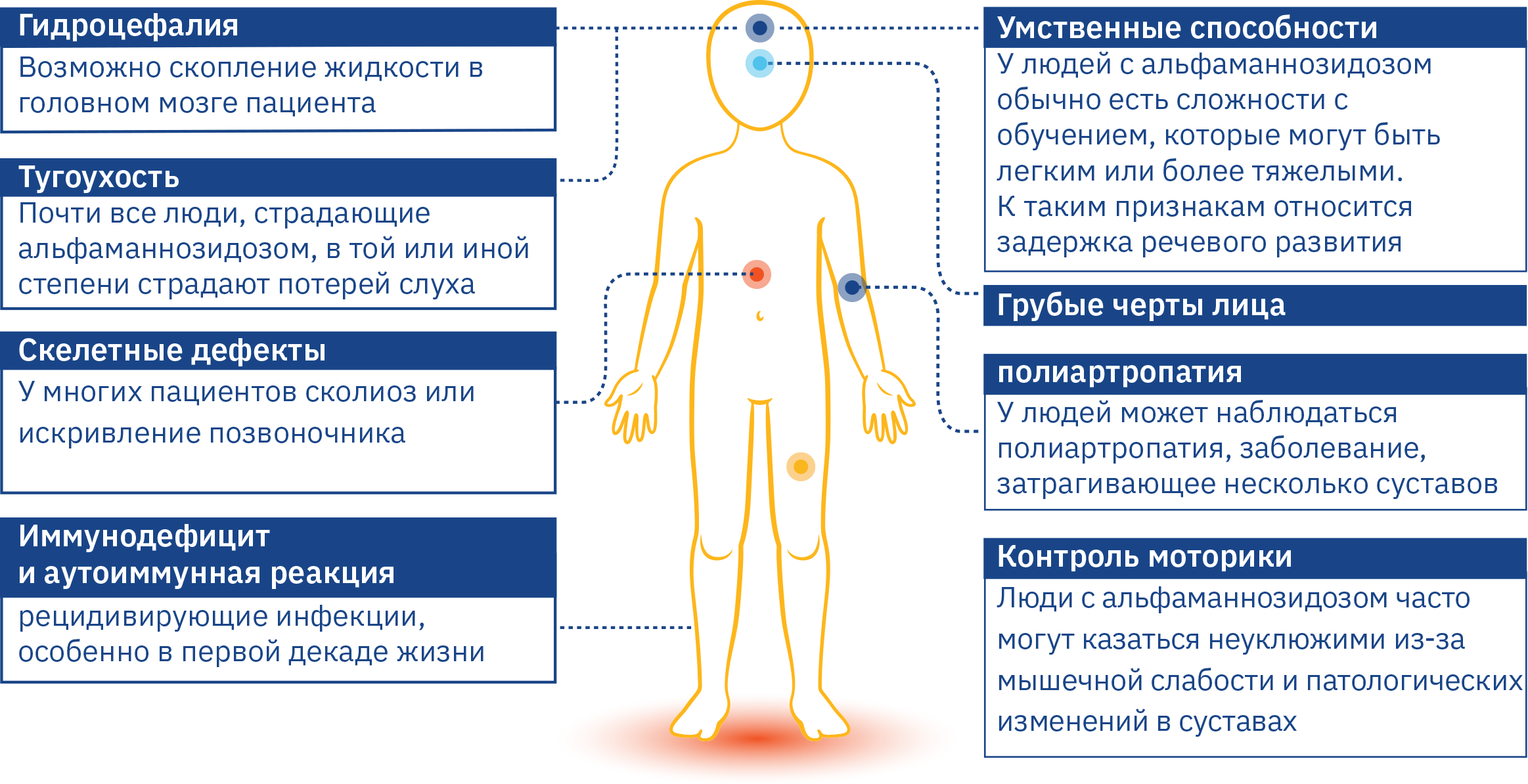 ru-signs-of-alphamannosidosis